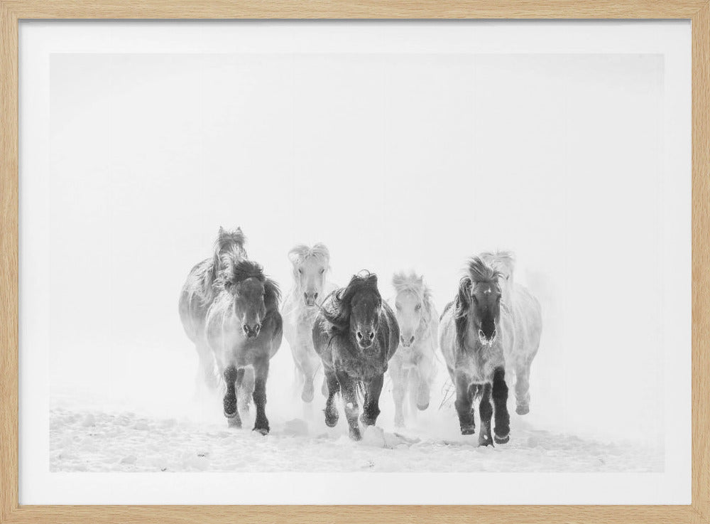 Hardlopen in de sneeuw | Poster