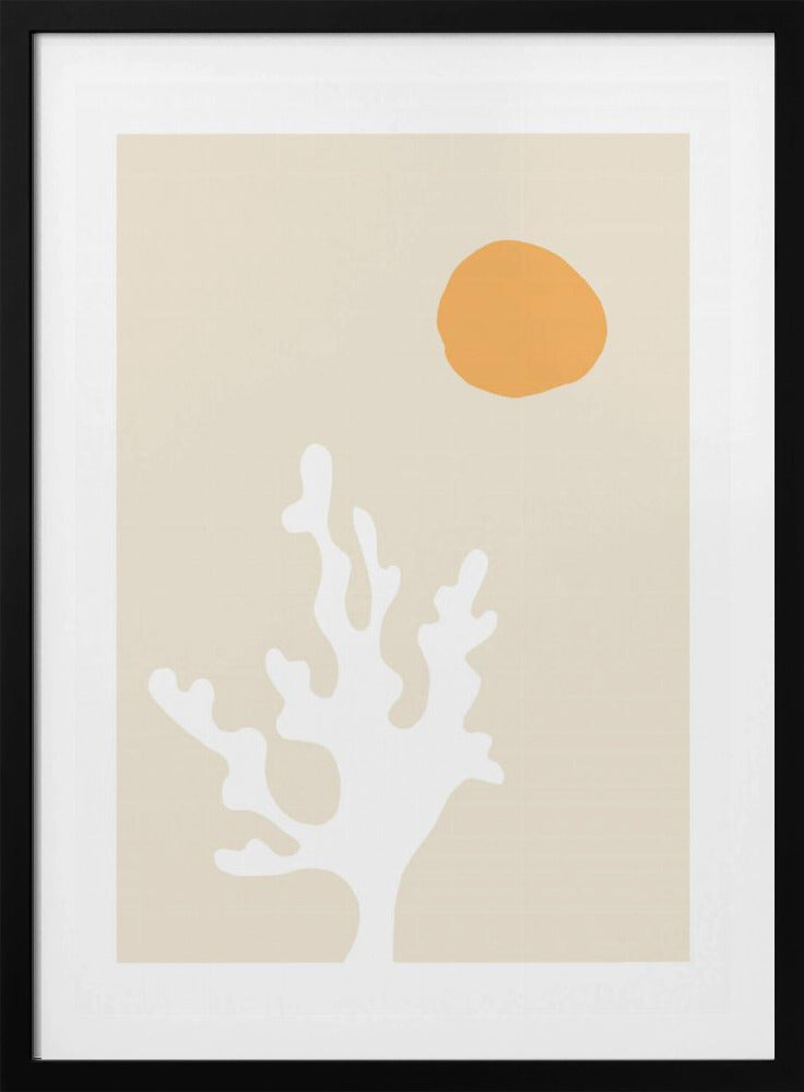 Zeewier in de zon | Poster
