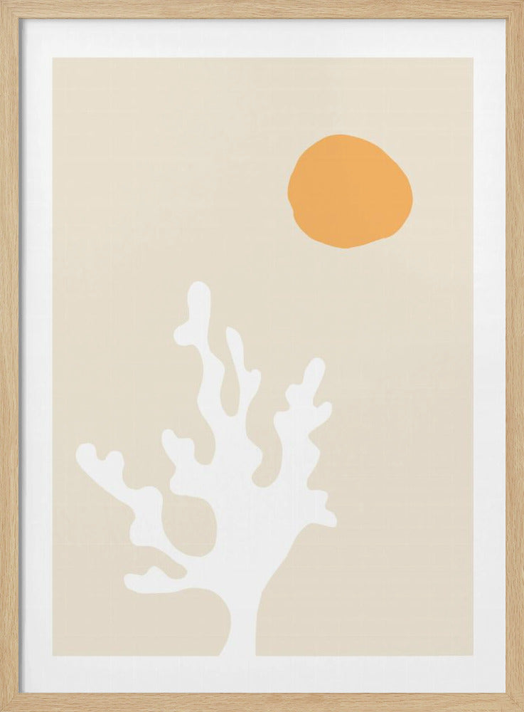 Zeewier in de zon | Poster