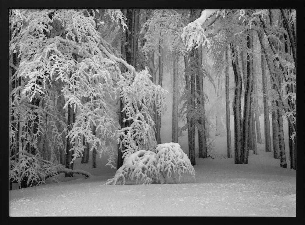Perfecte winter | Poster
