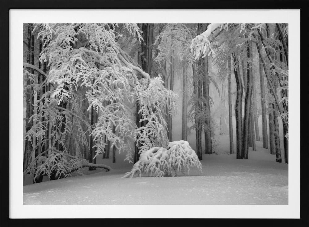 Perfecte winter | Poster