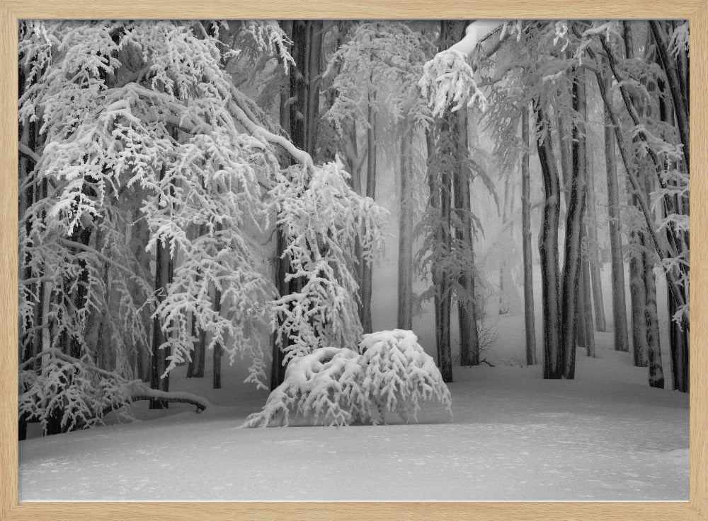 Perfecte winter | Poster