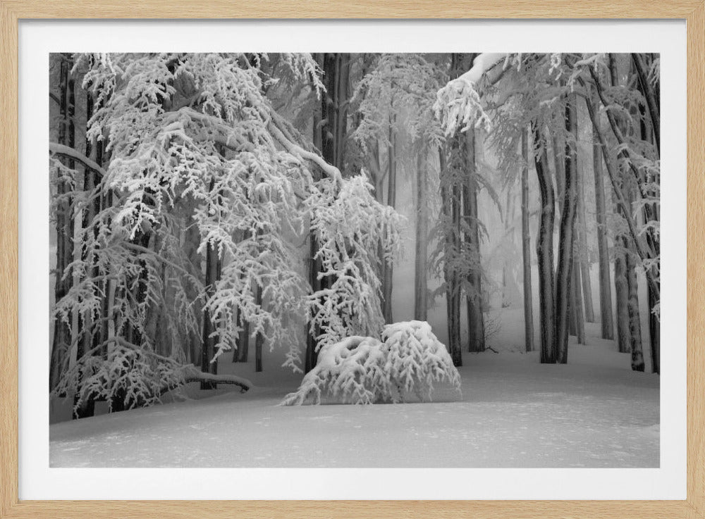 Perfecte winter | Poster