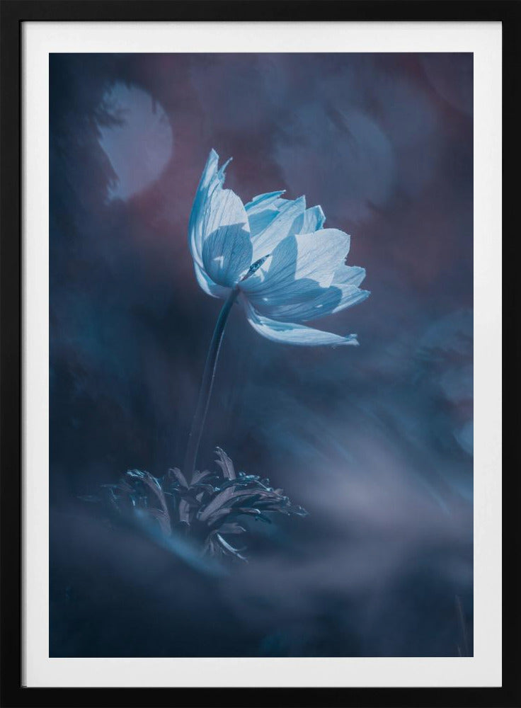 Droom verder | Poster
