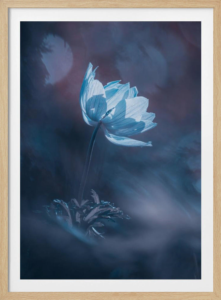 Dream on | Poster
