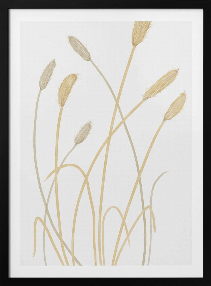 Bunny Grass 01 | Poster
