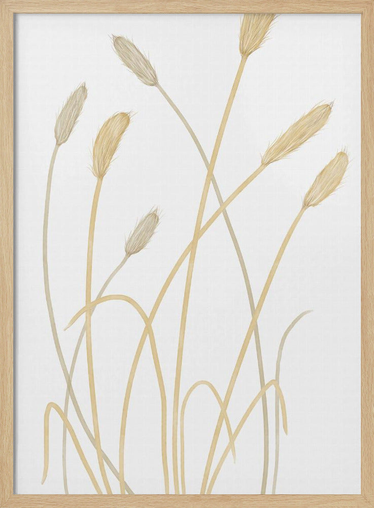 Bunny Grass 01 | Poster