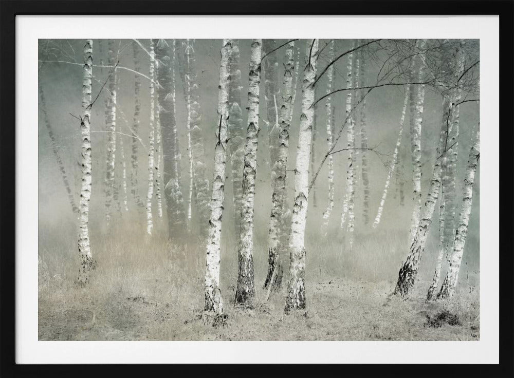 Morning silence | Poster