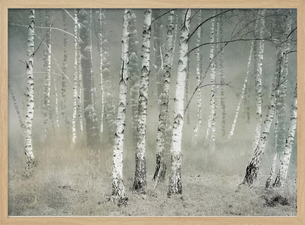 Morning silence | Poster