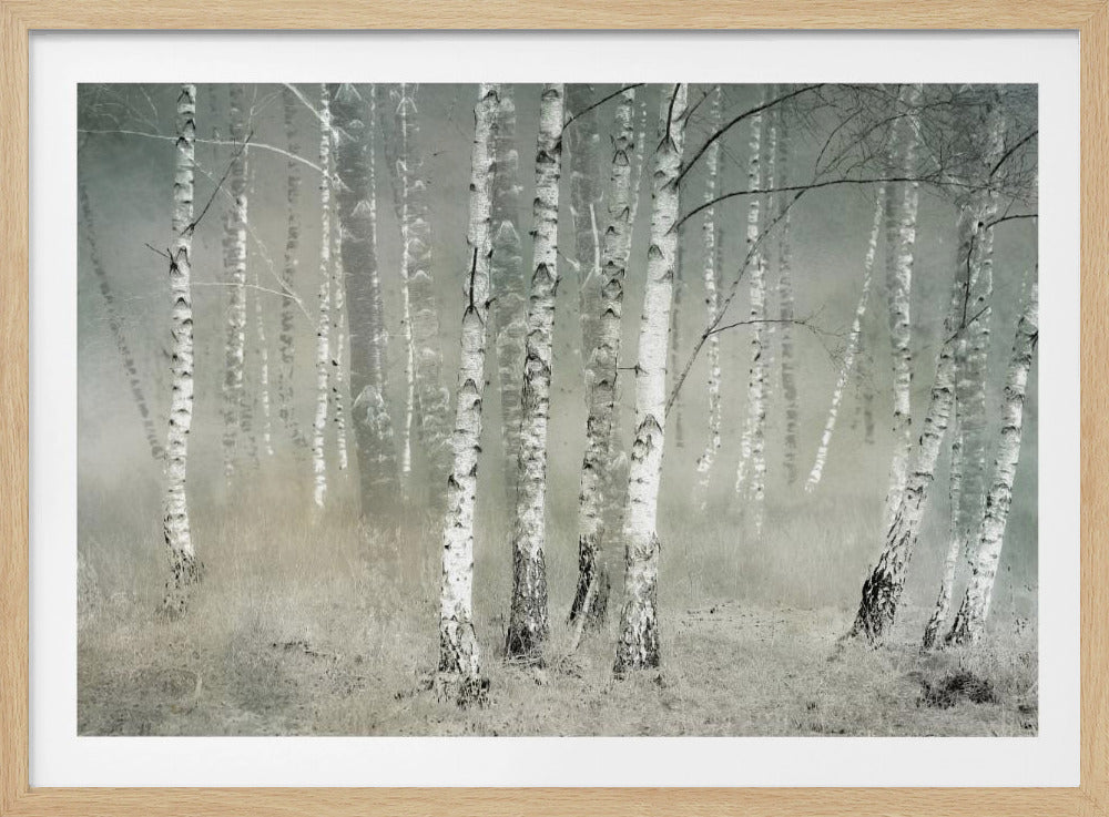 Morning silence | Poster