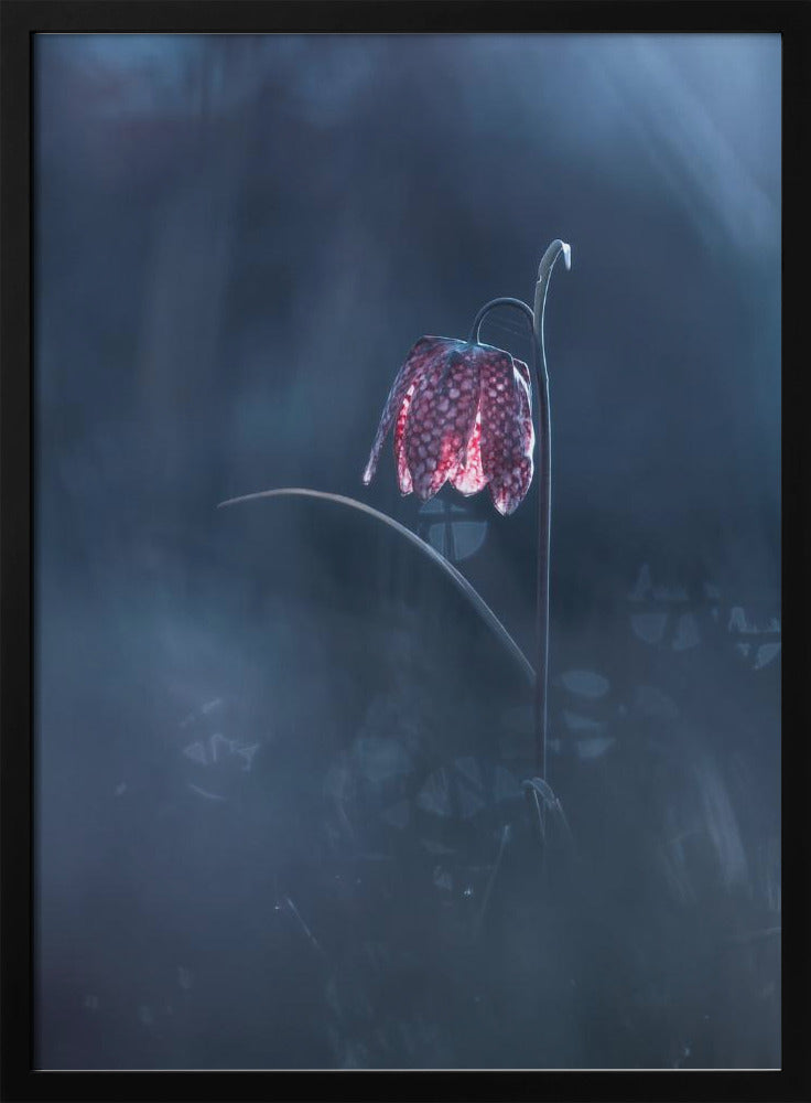 Ephemeral Fantasy | Poster
