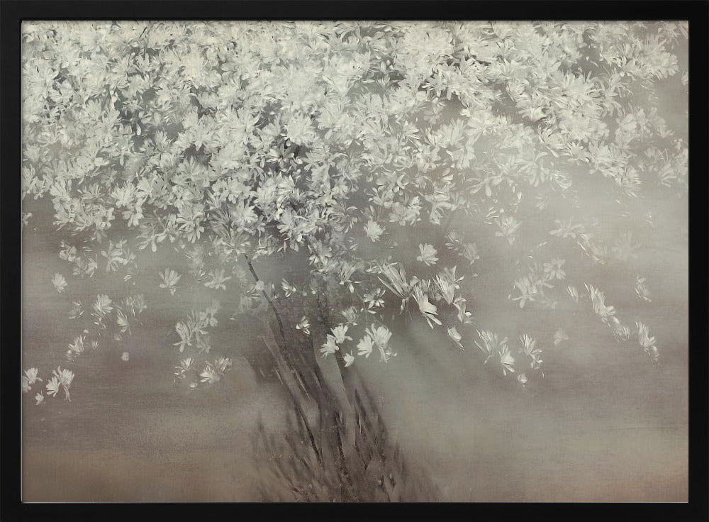Sterren van de lente | Poster