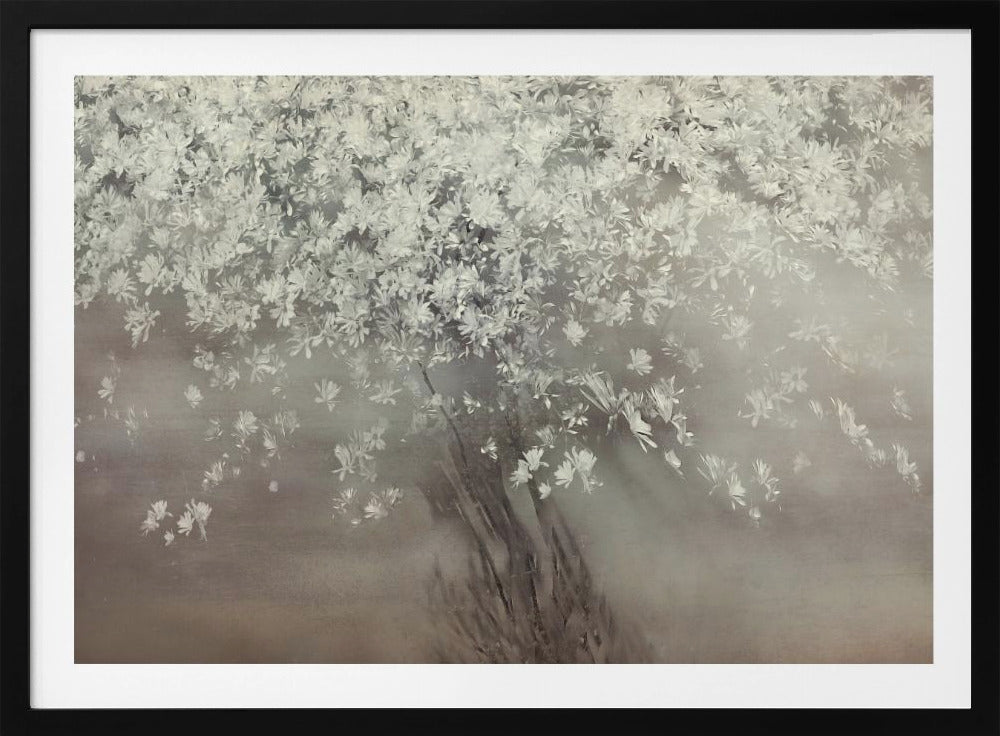 Sterren van de lente | Poster