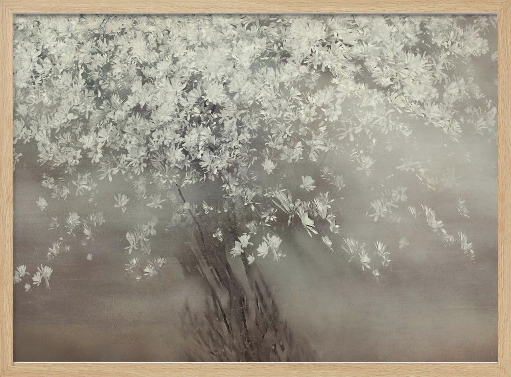 Sterren van de lente | Poster