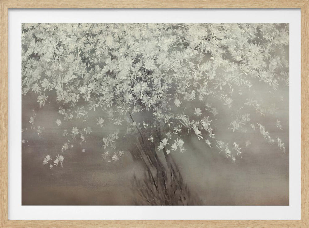 Sterren van de lente | Poster