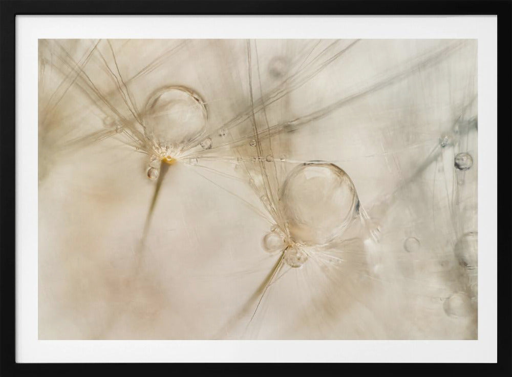 Aquarellen | Poster