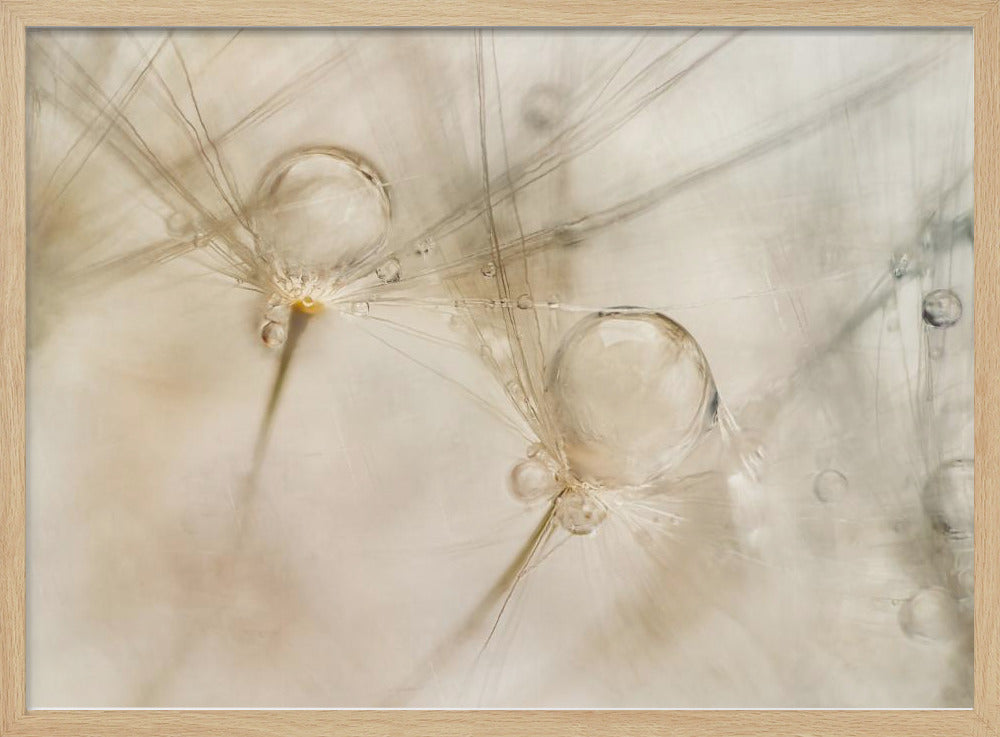 Aquarellen | Poster
