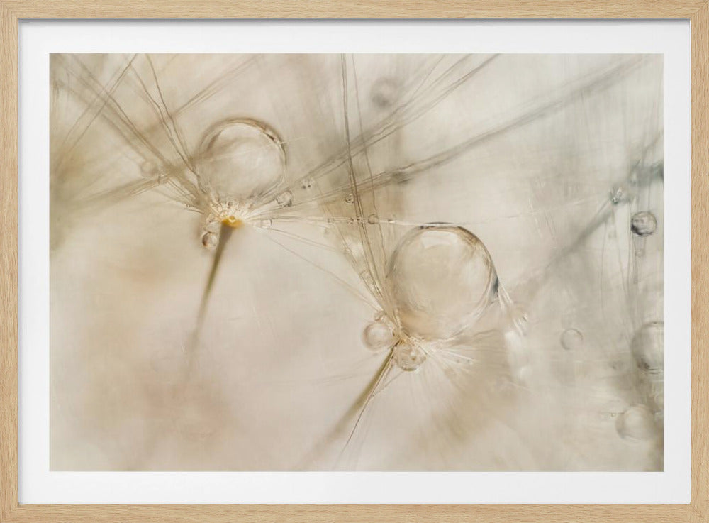 Aquarellen | Poster