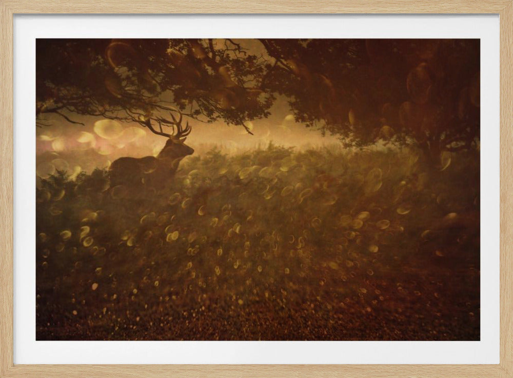 Gouden Bossen | Poster