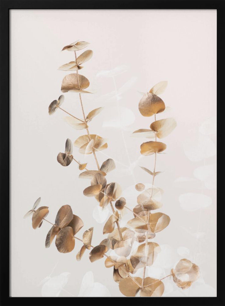 Eucalyptus Creatief Goud 03 | Poster