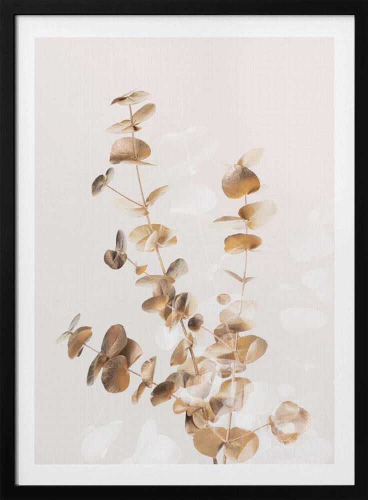 Eucalyptus Creatief Goud 03 | Poster