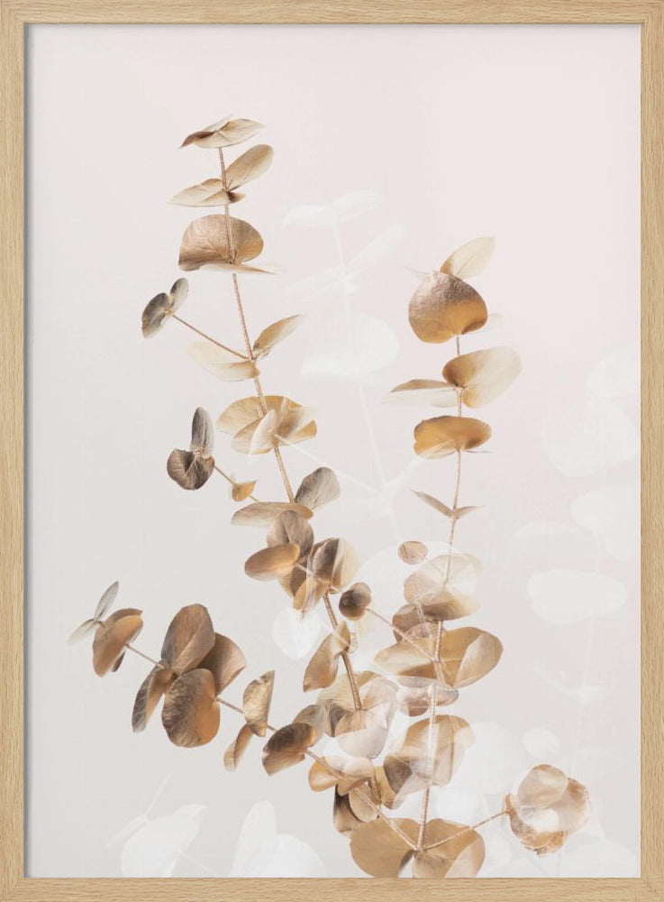Eucalyptus Creatief Goud 03 | Poster