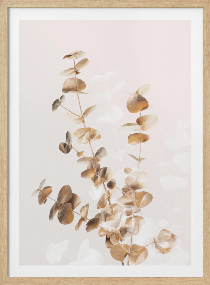 Eucalyptus Creatief Goud 03 | Poster
