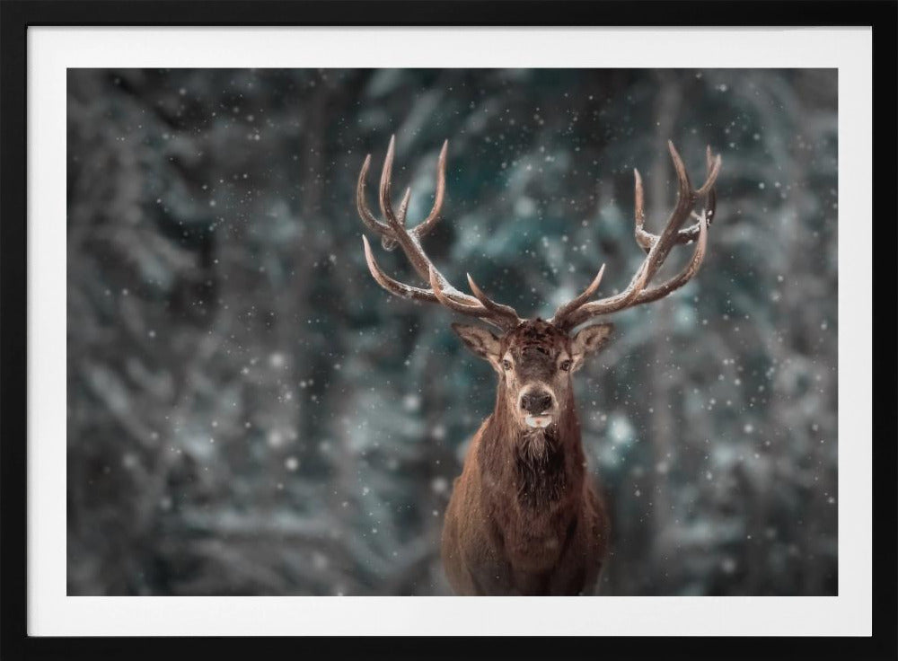 Deer King | Poster
