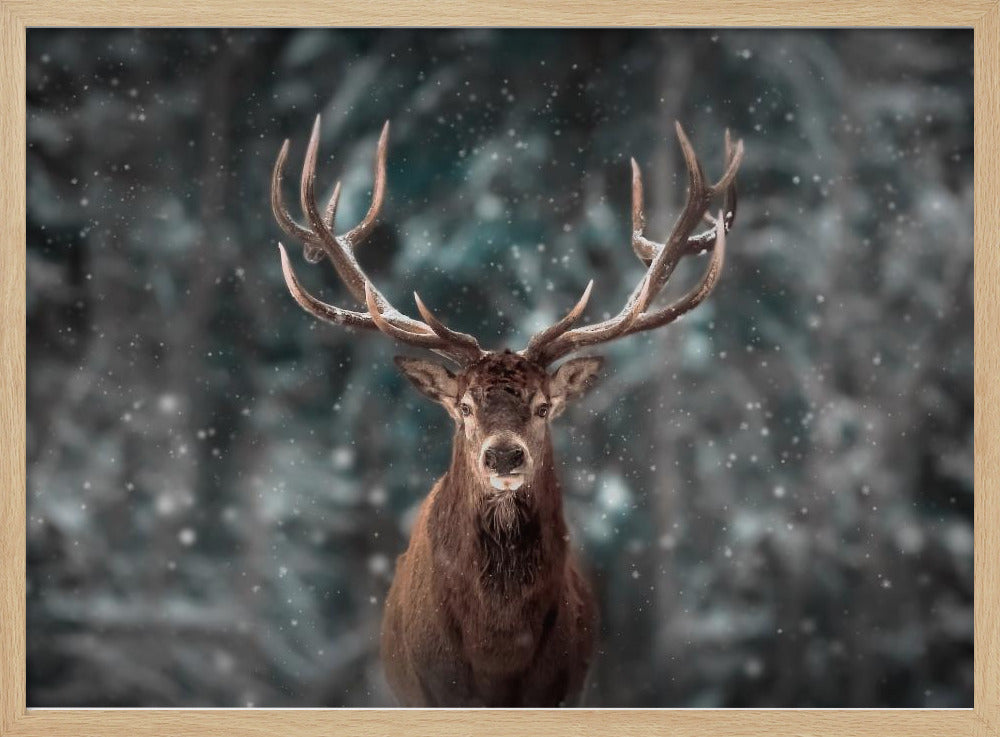 Deer King | Poster