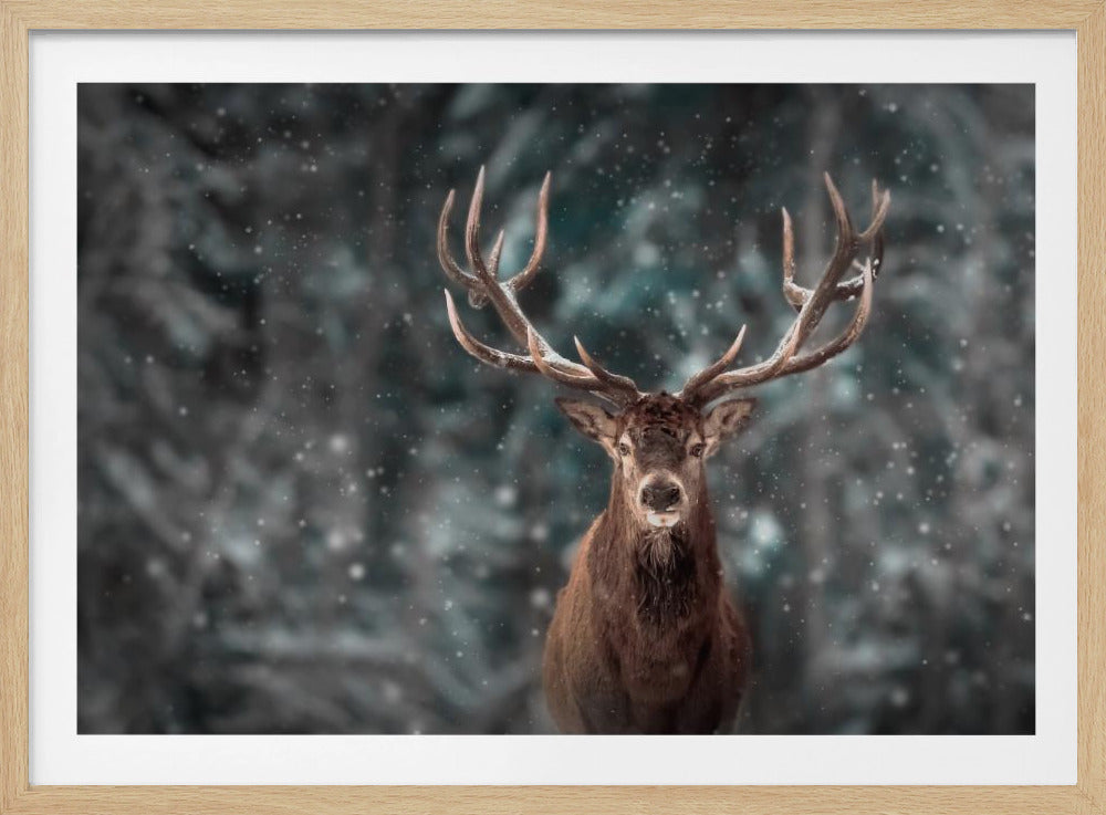 Deer King | Poster