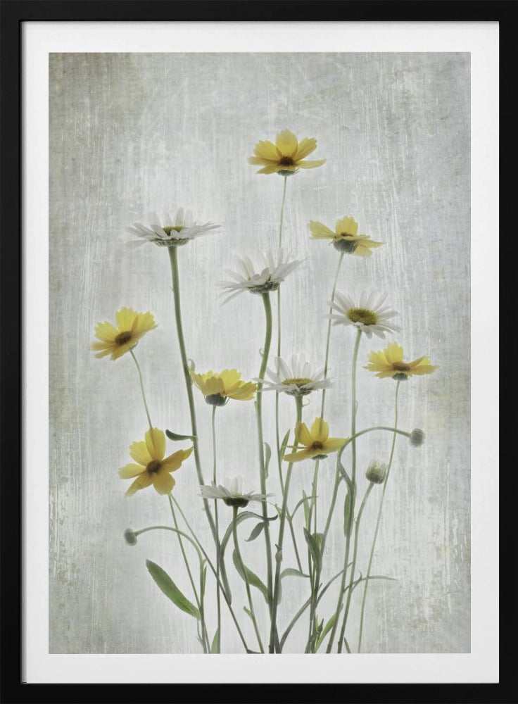 Summer Flowers | Poster