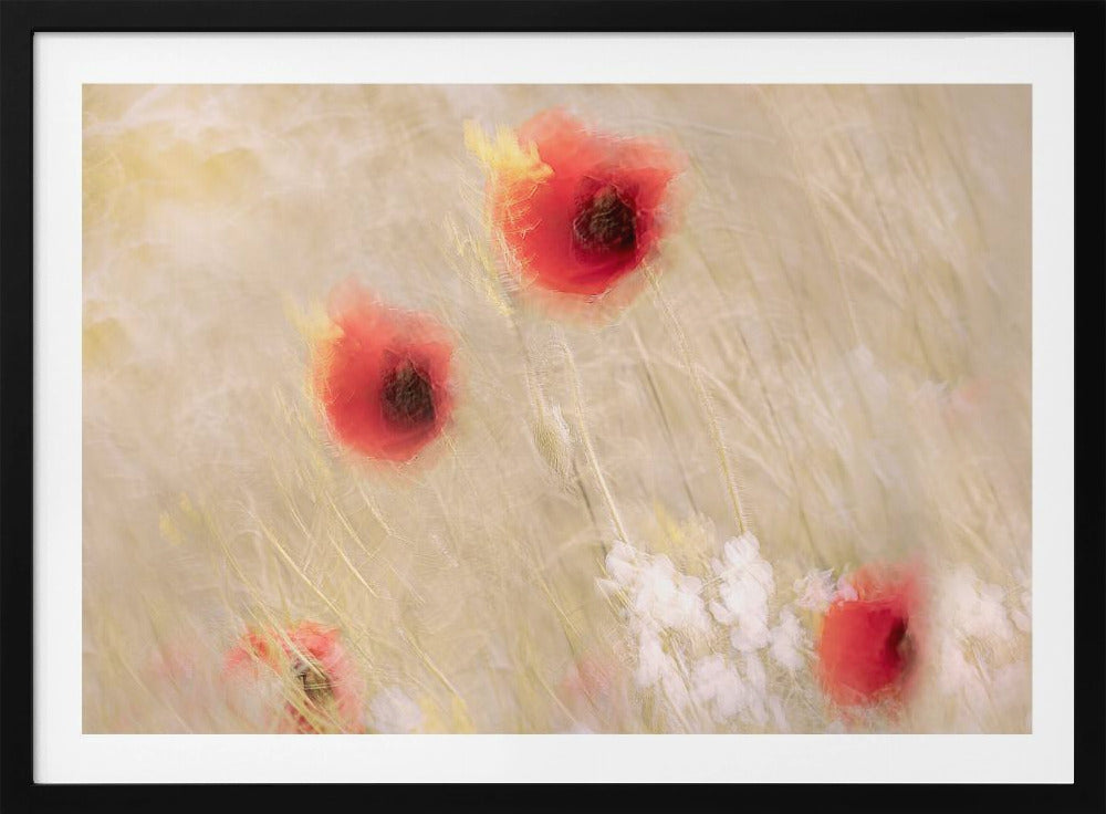 Tussen het gras | Poster