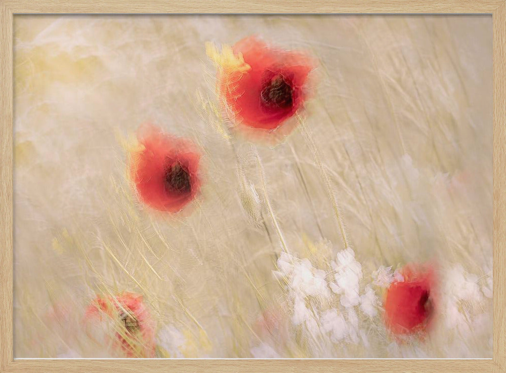 Tussen het gras | Poster