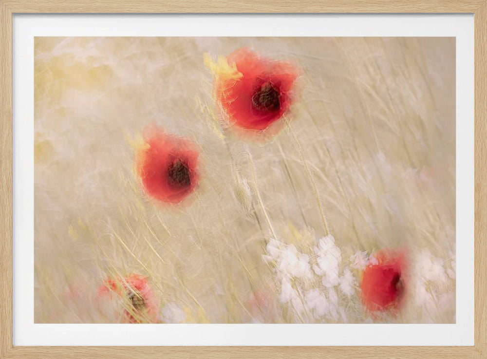 Tussen het gras | Poster