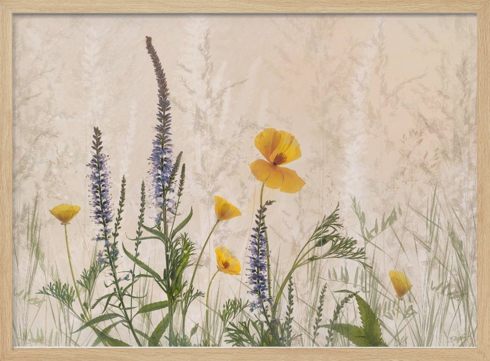 Dromen van bloemen | Poster
