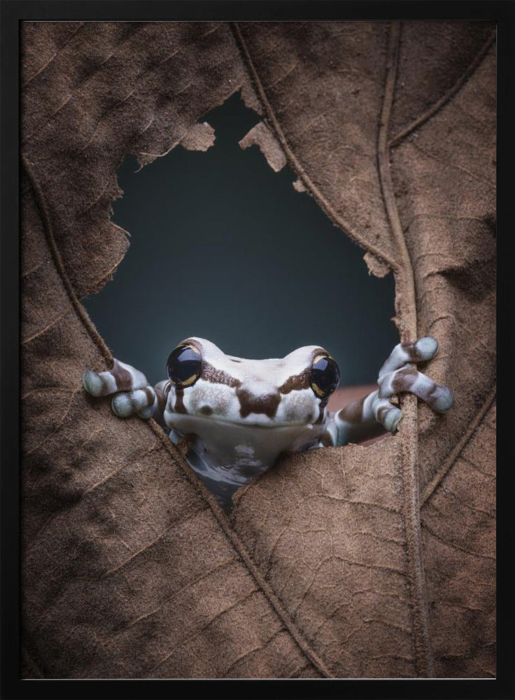 Hallo... | Poster