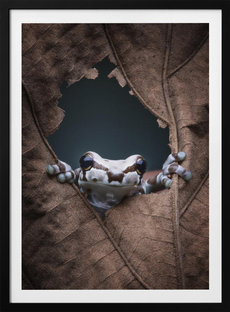 Hallo... | Poster