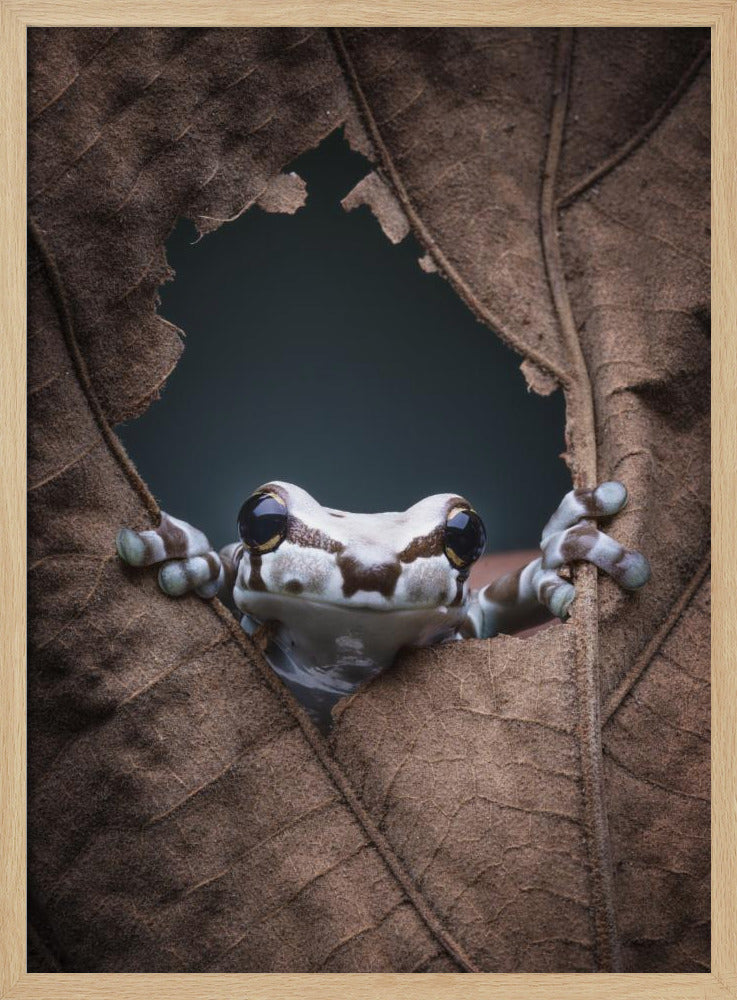 Hallo... | Poster