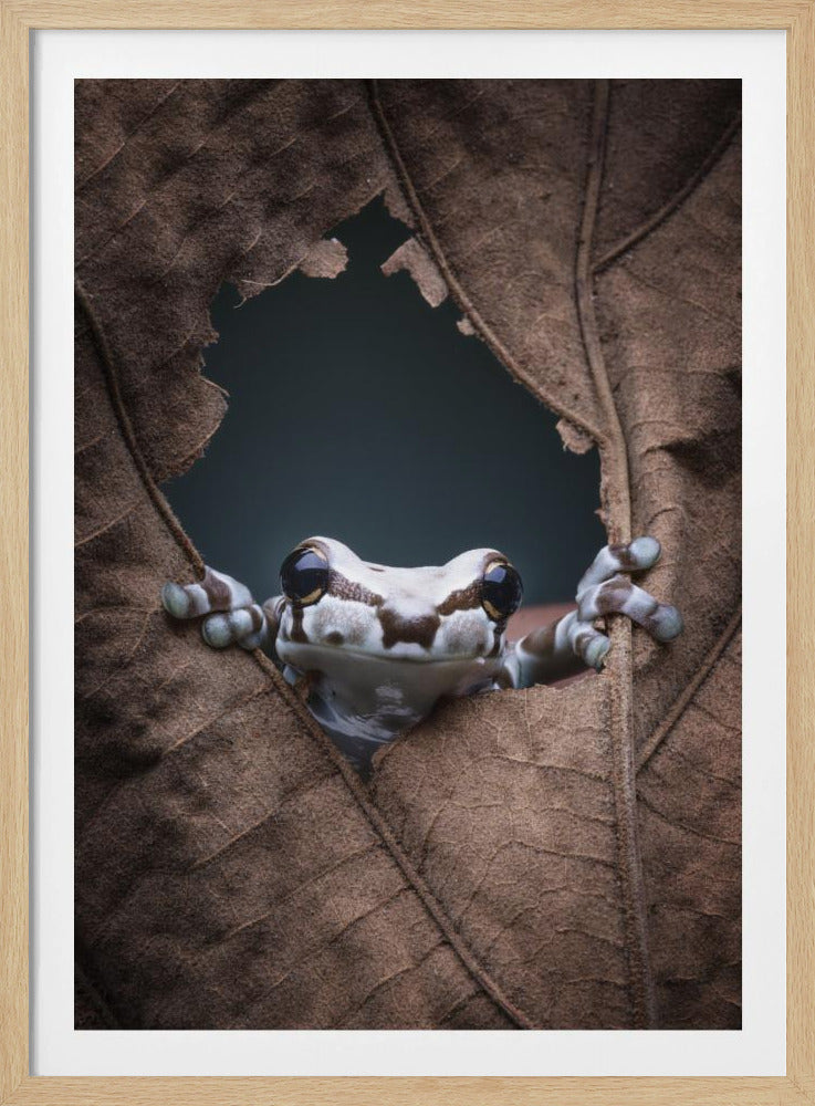 Hallo... | Poster