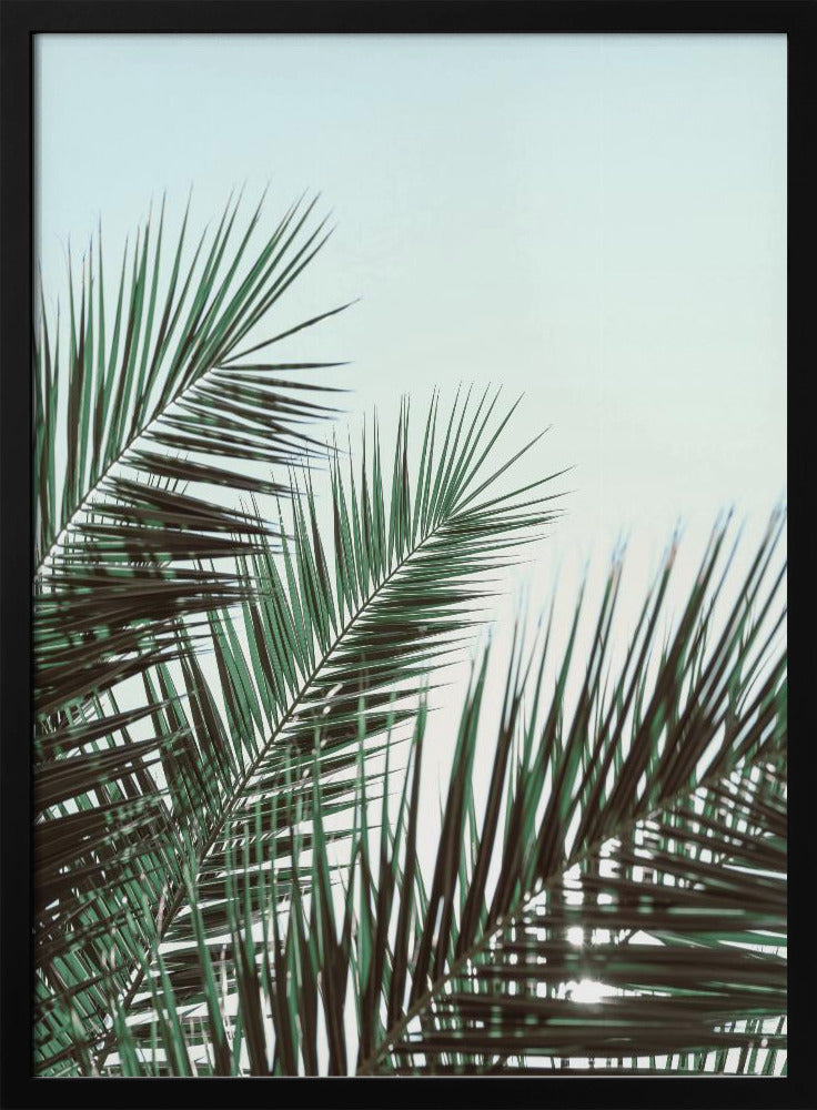 Palmbladeren, sky_1 | Poster