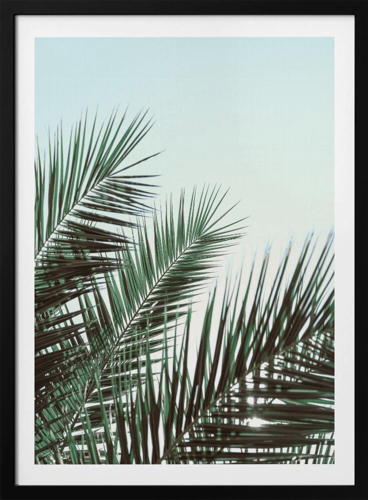 Palmbladeren, sky_1 | Poster