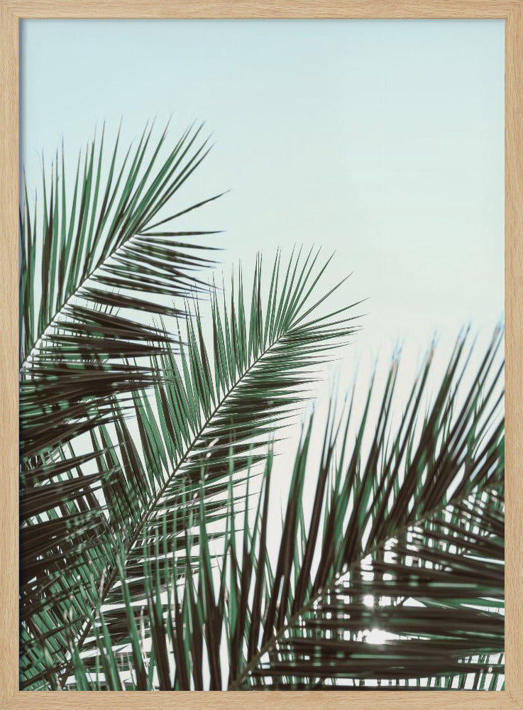 Palmbladeren, sky_1 | Poster