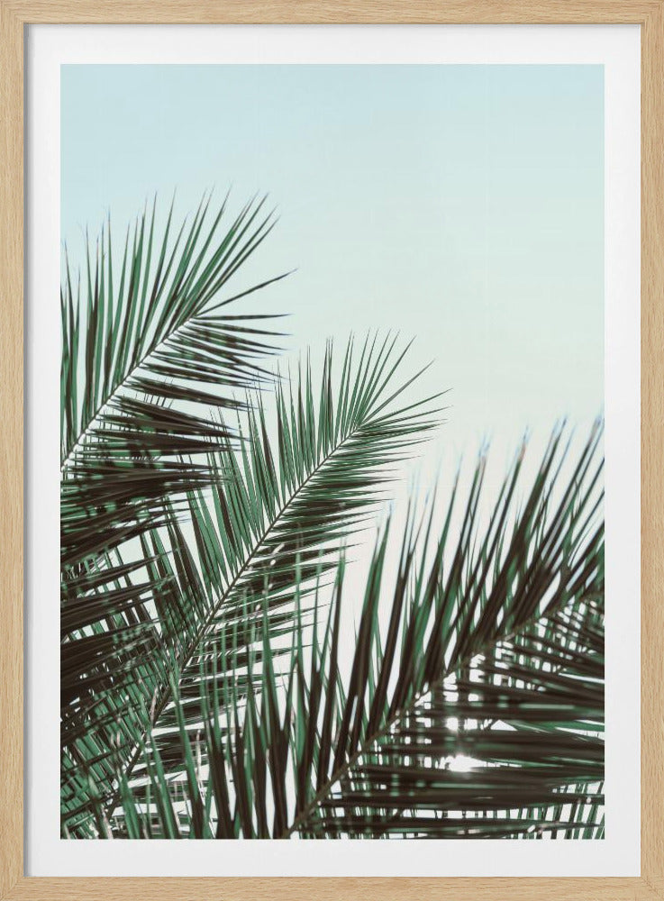 Palmbladeren, sky_1 | Poster