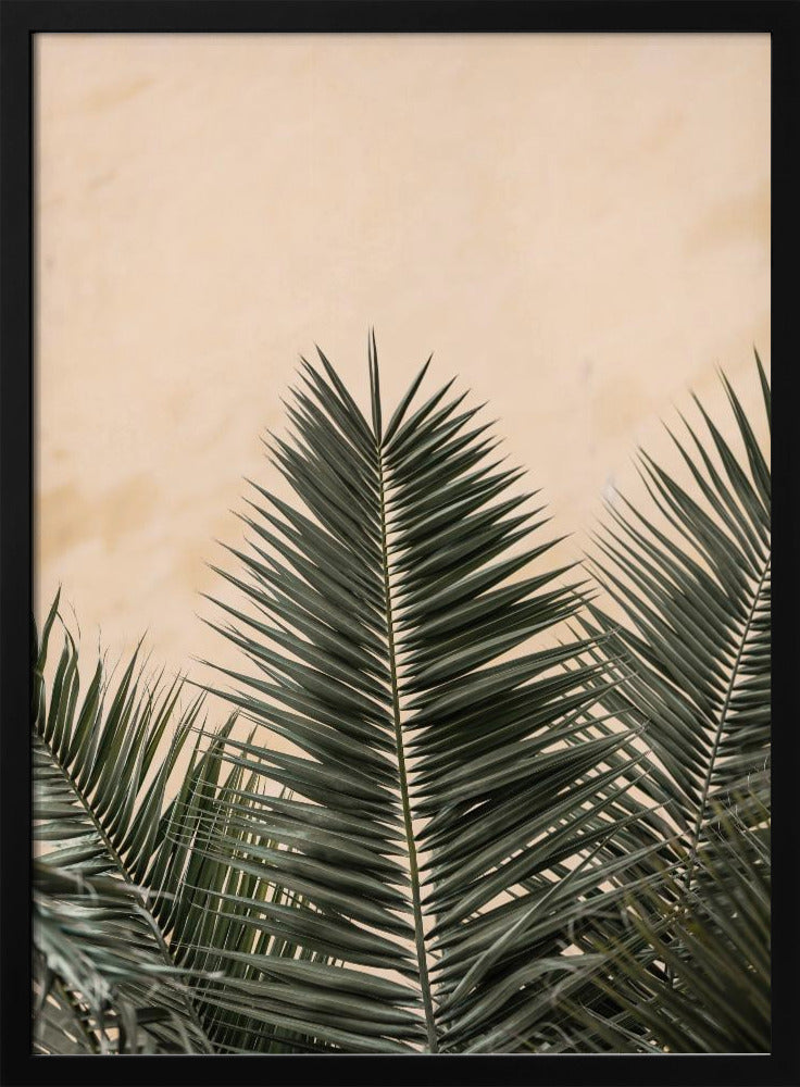 Palmbladeren en muur_1 | Poster