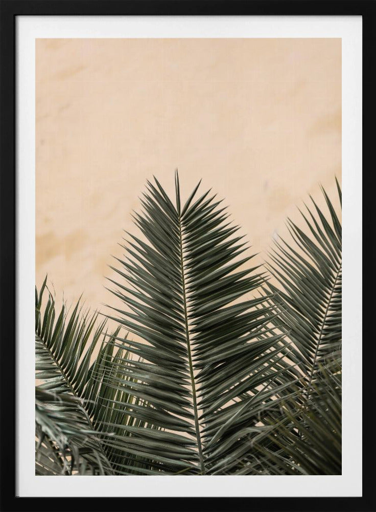 Palmbladeren en muur_1 | Poster