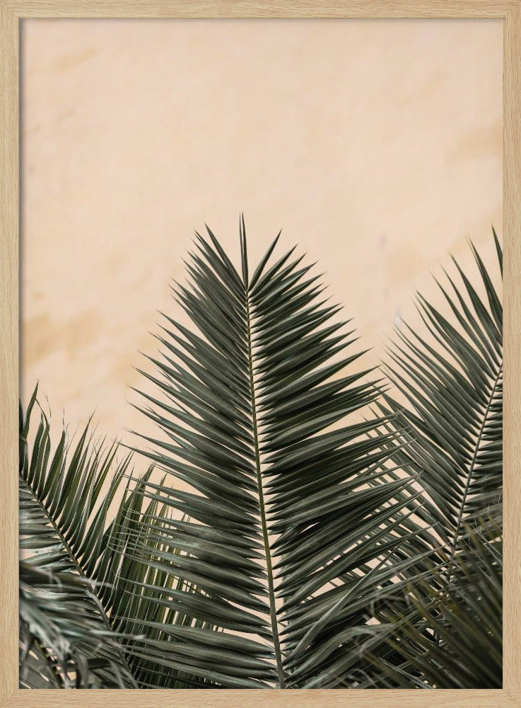 Palmbladeren en muur_1 | Poster