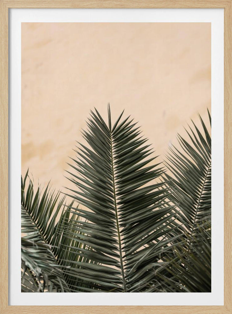 Palmbladeren en muur_1 | Poster