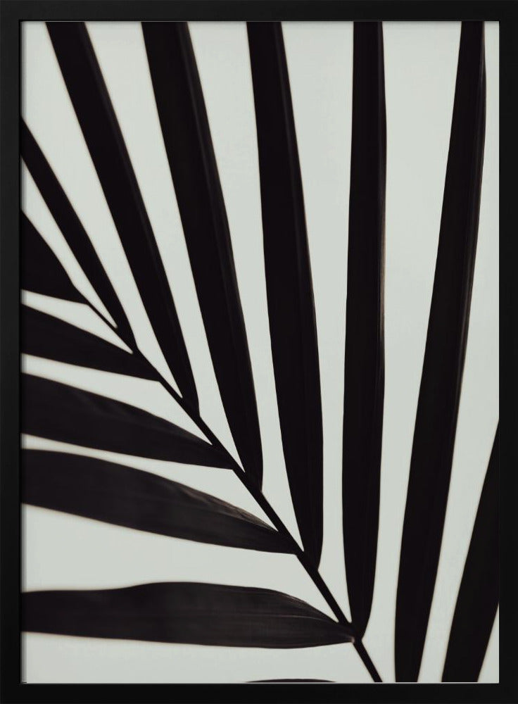 Grafisch palmblad_1 | Poster