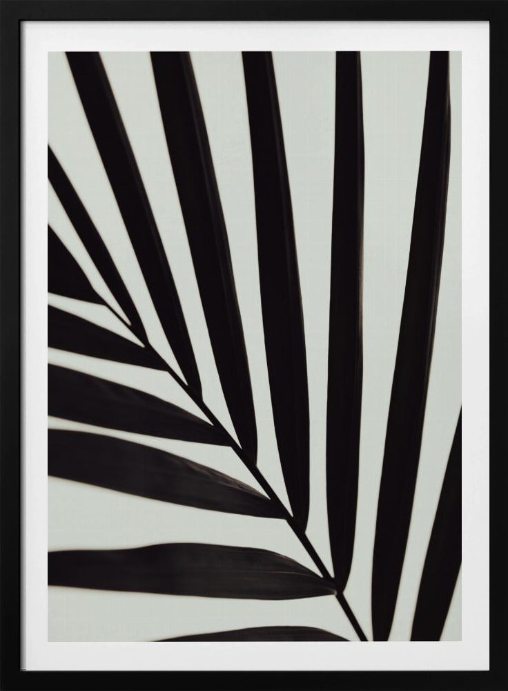 Grafisch palmblad_1 | Poster