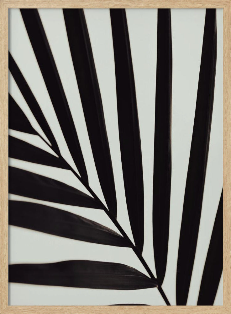 Grafisch palmblad_1 | Poster